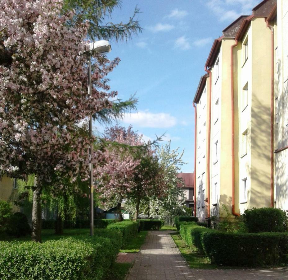 Apartament Jasminowy Leilighet Kudowa-Zdrój Eksteriør bilde